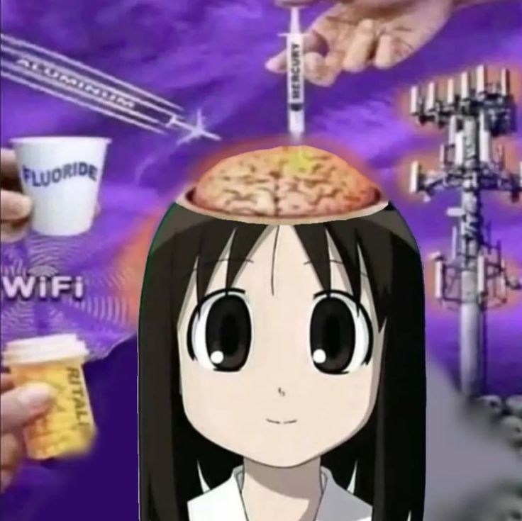 dushman@yourwalls.today